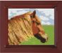 PIXELHOBBY Classic Paard 10x12 cm