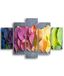 Homemania Wandfoto, motief "Die Welt der Color-5", natuur-pro woonkamer, meerkleurig, 95 x 0,3 x 60 cm, HM205MDF118, MDF