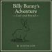 Billy Bunny's Adventure: Lost and Found