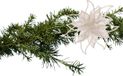 Cosy and Trendy Décoration de sapin de Noël fleur sur clip - blanc - 14 cm - paillettes - plastique