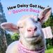 How Daisy Got Her Bounce Back