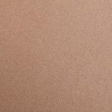 Clairefontaine 97874C Maya Papier - 25 Vellen Glad Donkerbruin Tekenpapier - A1 59,4x84 cm 120g