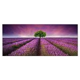 Homemania Afbeelding bloemen natuur en landschappen voor woonkamer, slaapkamer, meerkleurig, 70 x 3 x 100 cm, HM20KNV70 x 100 – 127, polyester, hout
