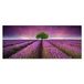 Homemania Afbeelding bloemen natuur en landschappen voor woonkamer, slaapkamer, meerkleurig, 70 x 3 x 100 cm, HM20KNV70 x 100 – 127, polyester, hout