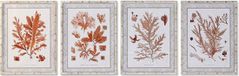 DKD Home Decor Schilderij Koraal 50 x 2,8 x 65 cm