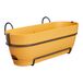 Elho Vibia Campana Balkonbak Allin1 50 - Plantenbak voor Balkon - Ø 50.4 x H 17.7 cm - Honinggeel