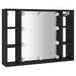vidaXL Spiegelkast met LED-verlichting, zwart, 76x15x55 cm