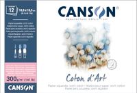 Canson Coton D'Art Aquarelpapier, gesatineerde korrel, 300 g/m², blok aan de lange zijde gelijmd, 10,5 x 15,5 cm, natuurlijk wit, 12 vellen