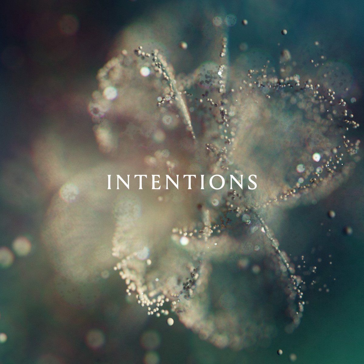 Universal Music Nederland Anna - Intentions (2 LP)