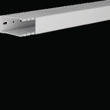 Hager HNG7503707035B Kabelgoot (l x b x h) 2000 x 37 x 75 mm 2 m Grijs