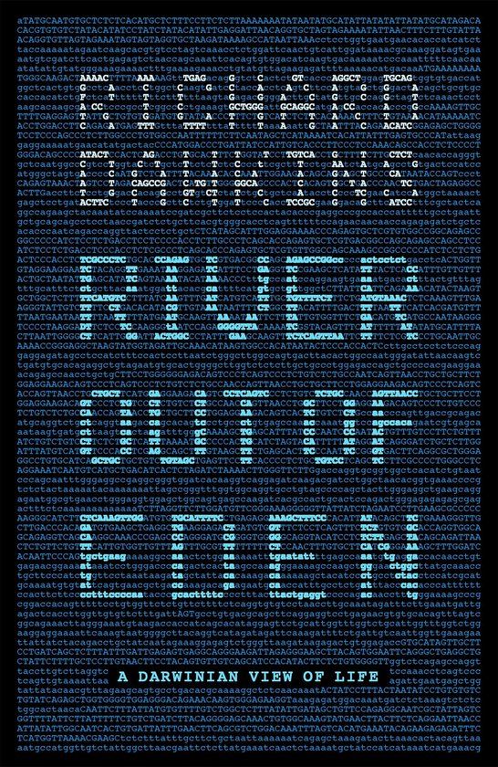 River Hachette Ireland River Out Of Eden Paperback