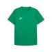 teamKING PUMA T-shirt Teamking - Groen/wit/zwart, maat XX-Large