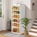 AOHMPT Schoenendoos Opvouwbare Opbergdoos Installatievrij Clear Plastic Stapelbare Schoen Opbergkast Schoen Organizer Schoen Container Box met Deksels Groot Maat Schoenenrek (6 lagen enkele rij)