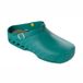 Scholl Medische Klomp Unisexe Evo Emerald-Schoenmaat 47