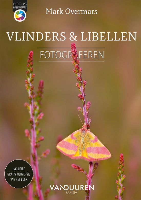 Vlinders en libellen fotograferen - Mark Overmars | Paperback