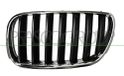 PRASCO Kühlergitter BM8032004 links | Compatibel met: BMW X3