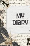 My Diary: 150 pages where I can describe my day or my life, lined sheets
