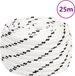vidaXL Werktouw 20 mm 25 m polyester wit