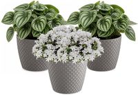 Prosperplast pot de fleurs / pot de plantes - 3x - plastique - gris pierre - Dia 15.7 cm et hauteur 13.8 cm - intérieur/extérieur