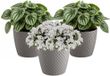 Prosperplast pot de fleurs / pot de plantes - 3x - plastique - gris pierre - Dia 15.7 cm et hauteur 13.8 cm - intérieur/extérieur