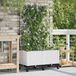 vidaXL - Plantenbak met irrigatie en wielen - 2 stuks - Wit - PP