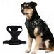Harnais pour chien - Harnais pour chien - Réfléchissant - Noir, taille M - Pour la marche et l'entraînement