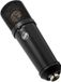 Warm Audio WA-87jr SE Black Grootmembraan Condensator Studio microfoon Zwart
