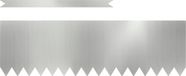 vidaXL Grasafscherming 10 stuks 100 x 0,05 x 30 cm Staal Gegalvaniseerd staal Zilver