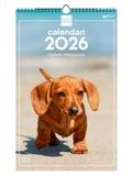 Finocam Wandkalender 2026, 25 x 40 cm, maandoverzicht januari - december 2026 + sep. - december 2025 (4 maanden), kalender 2026, puppyfoto's - Catalaans