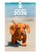 Finocam Wandkalender 2026, 25 x 40 cm, maandoverzicht januari - december 2026 + sep. - december 2025 (4 maanden), kalender 2026, puppyfoto's - Catalaans