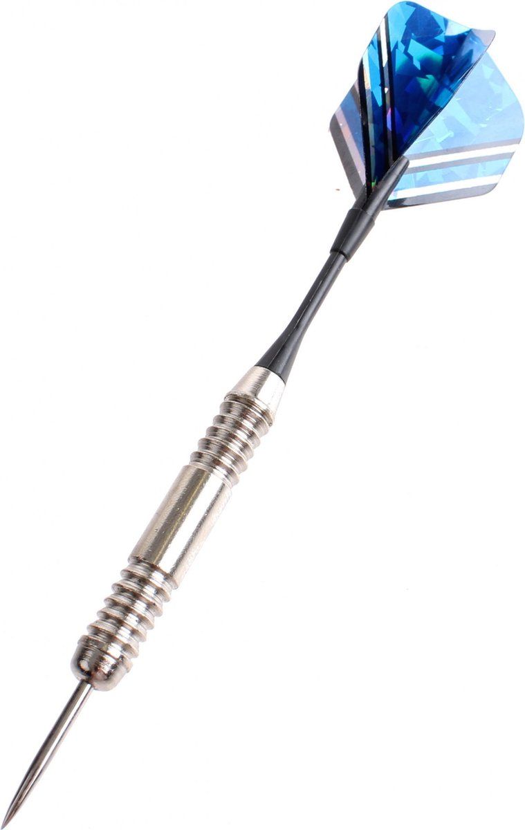 Masterdarts Master Darts Dartpijlen Set In Etui 24gr Zwart/blauw