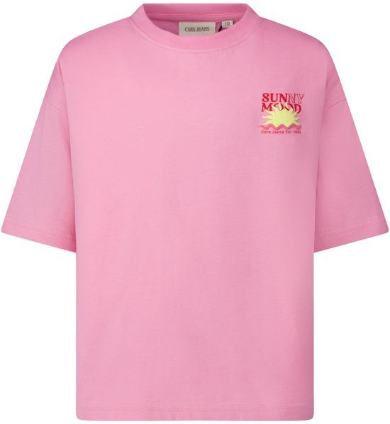Cars Jeans T-shirt Teddy jr. - Meisjes - Maat 116 - Lichtroze