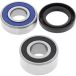 ALL BALLS Racing wiellagerset wheel bearing sets 25-102 complete with simmerrings