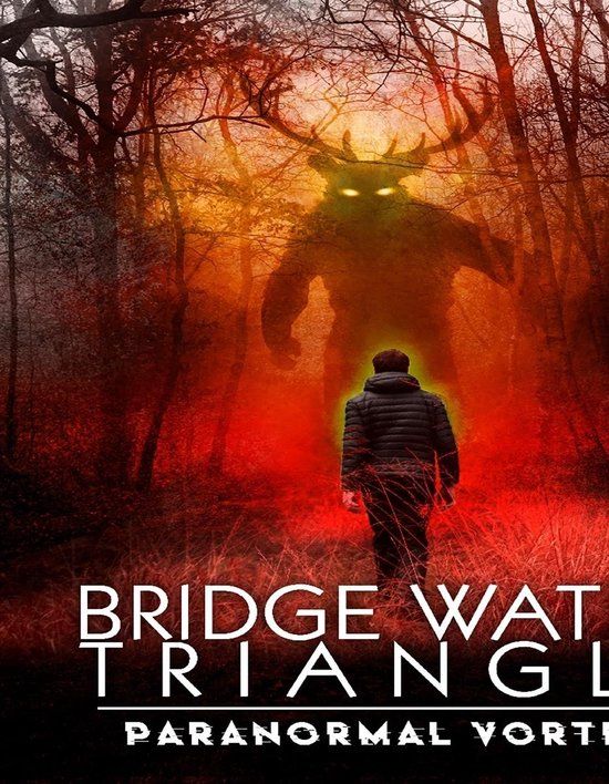 Sonic Rendezvous Bridgewater Triangle; Paranormal Vortex (DVD) (Import geen NL ondertiteling)