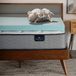 Serta ThermaGel Traagschuim Matrastopper, TXL | Twin XL slaapzaal topper, 3 inch koelgel memory foam, ThermaGel, diepe drukontlasting, CertiPUR-US, gemaakt in de VS