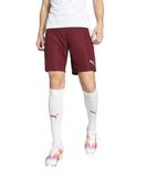 Puma Teamliga Shorts, Cordovan-White, XL, uniseks, voor volwassenen