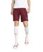 Puma Teamliga Shorts, Cordovan-White, XL, uniseks, voor volwassenen