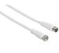 Hama 00122527 câble coaxial 10 m F Blanc