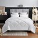 Famanu - Microvezel dekbed 200 x 200 cm, 450 g/m², dik en warm, geschikt voor 2 personen – Wit