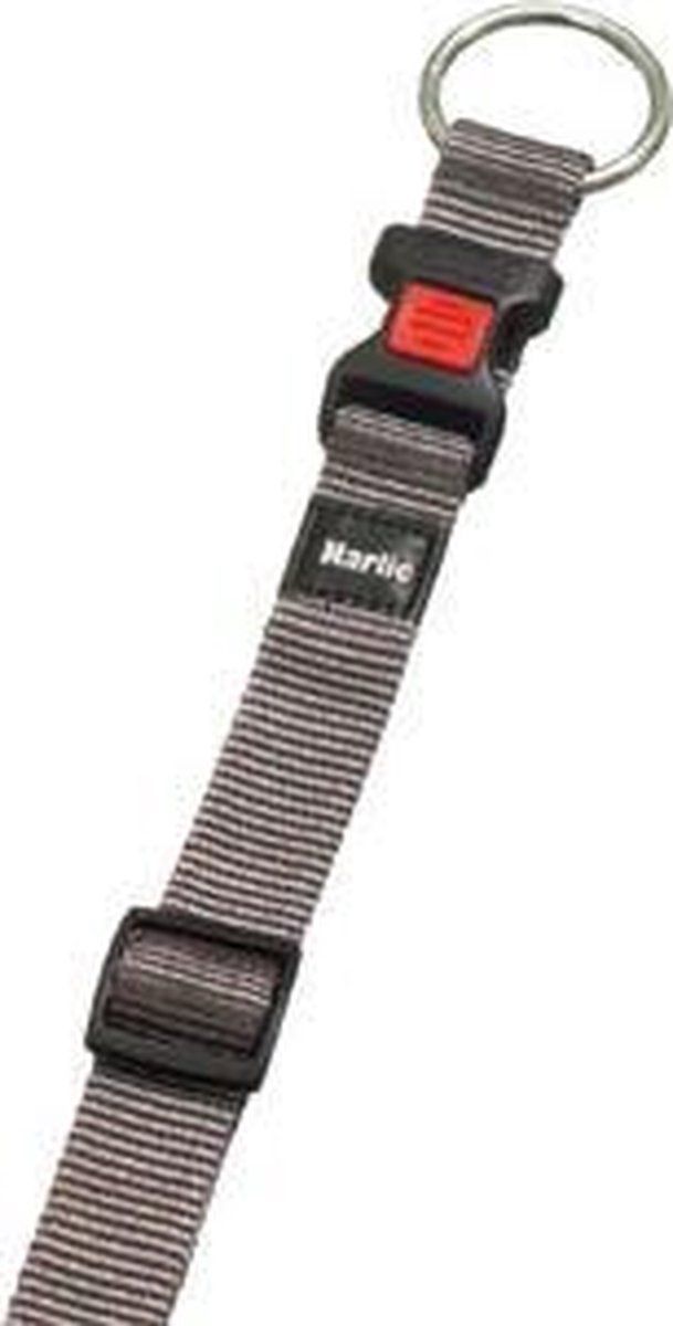 FLAMINGO Hondenhalsband Asp - 55-75cm 40mm - Grijs