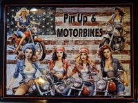 I&S Pin Up & Motorbikes Metalen wandbord 30 x 40 cm