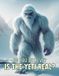 Is Libri GmbH Do You Believe?- Is the Yeti Real? Hardcover