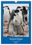 Antarctique Calvendo Antarctique des oiseaux de légende (Calendrier mural 2027 DIN A4 horizontal), CALVENDO calendrier mensuel