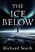 The Ice Below