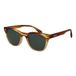 Superdry Sunglasses SDS 5043 194 50