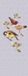 AS Creation Papier peint briBirdsPanel1 DD114332 Livingwalls Murs par Patel