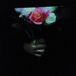 Aeonflower Paper Dollhouse Aeonflower (LP)