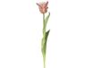 Kaemingk Everlands Papegaaitulp Rose & Vert Ø 6 cm 51 cm - Fleurs artificielles