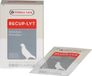 Versele-Laga Oropharma Recup-Lyte - 12 x 20 g