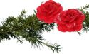 Merkloos / Sans marque Koopman International Kerstboomversiering Bloemen - 2 stuks - 9 cm - Rood Glitter - Op Clip